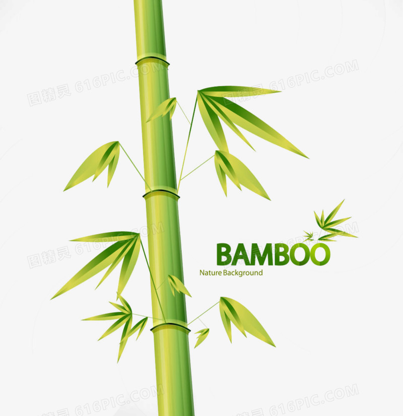 竹子矢量图手绘竹叶图片 