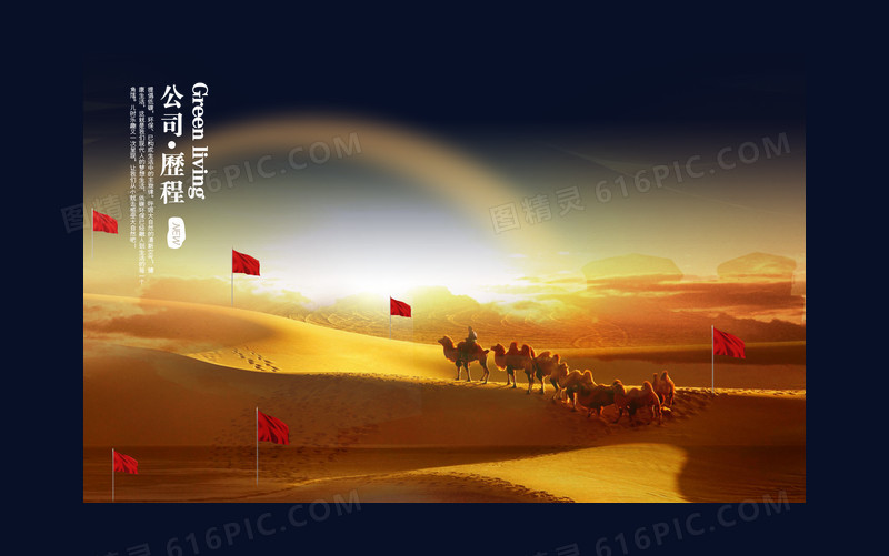 公司历程