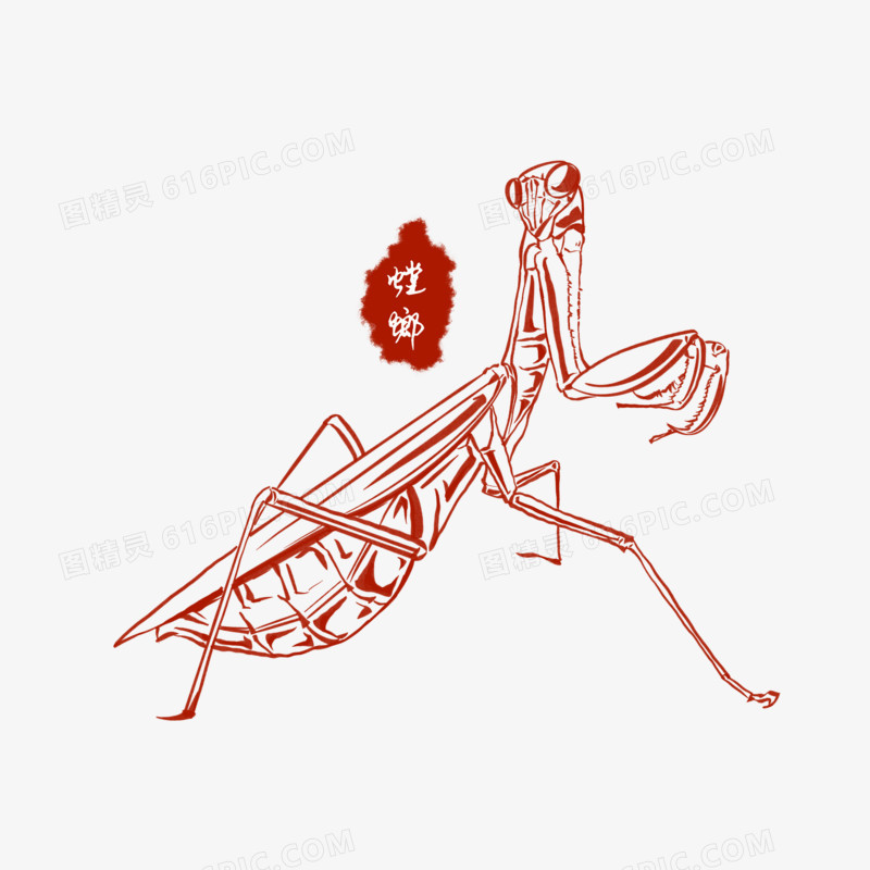 单色手绘动物昆虫螳螂装饰元素