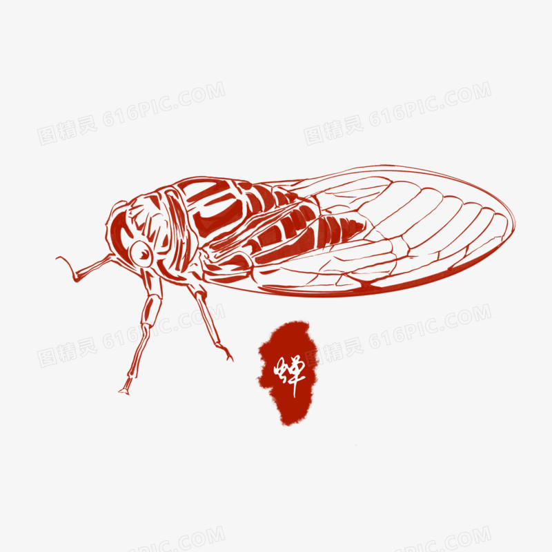 单色手绘动物昆虫蝉装饰元素