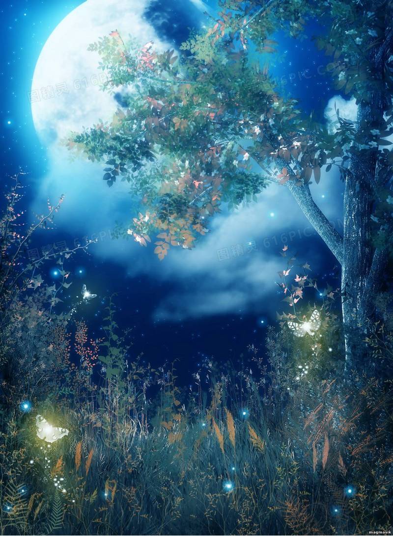 月亮蝴蝶树木背景