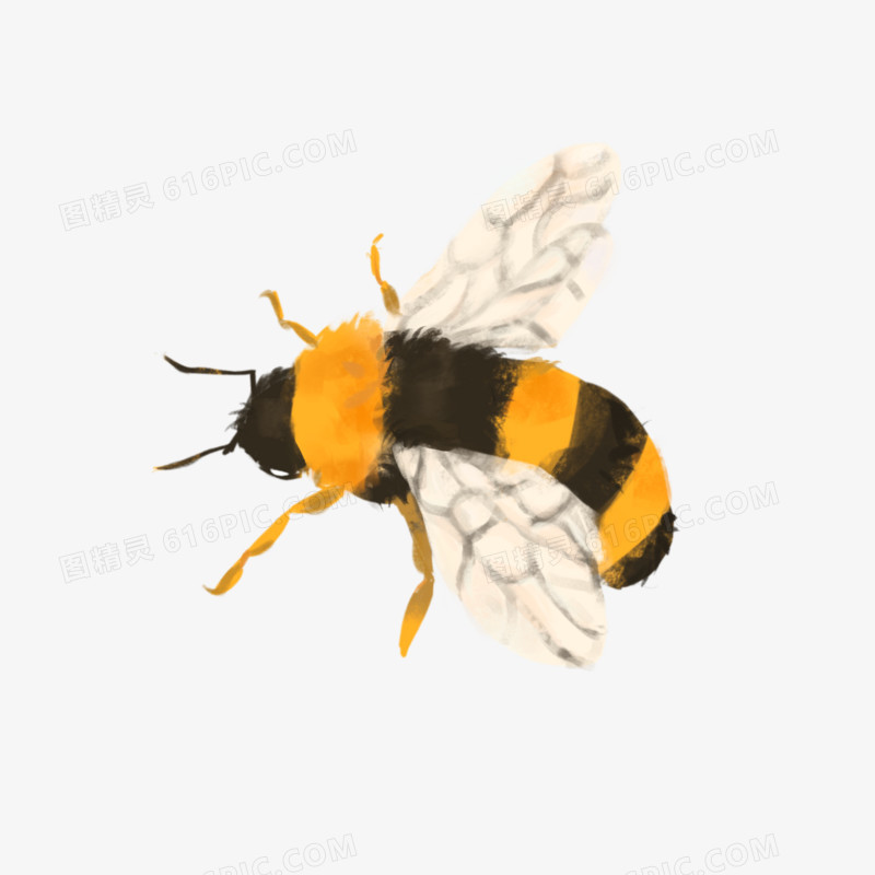 卡通手绘小蜜蜂免抠元素