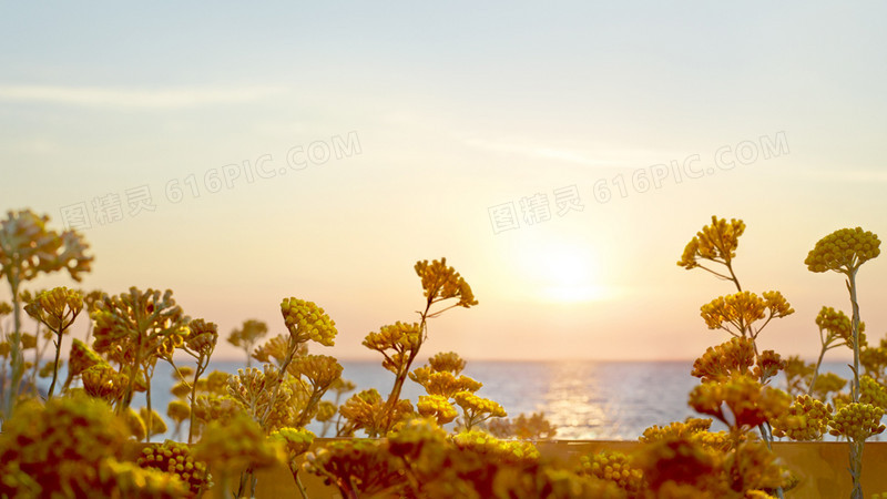 日出落日夕阳秋天唯美风景