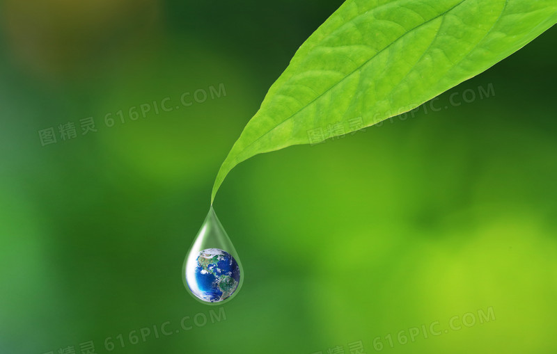 树叶上的水滴地球