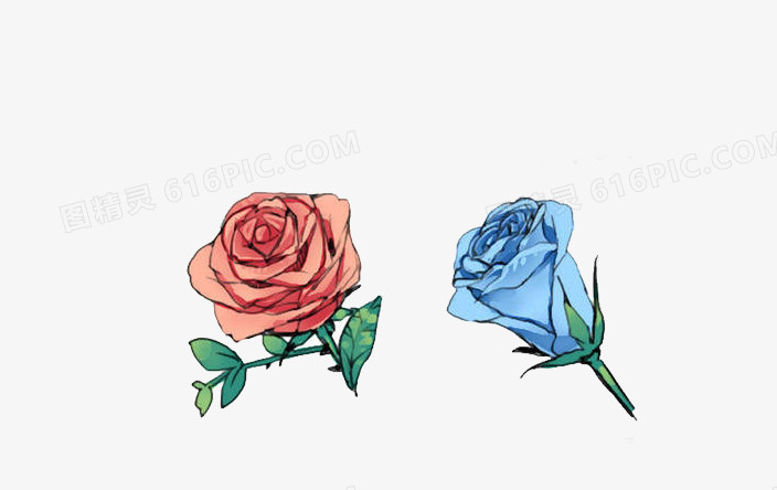 红玫瑰与蓝玫瑰免抠素材