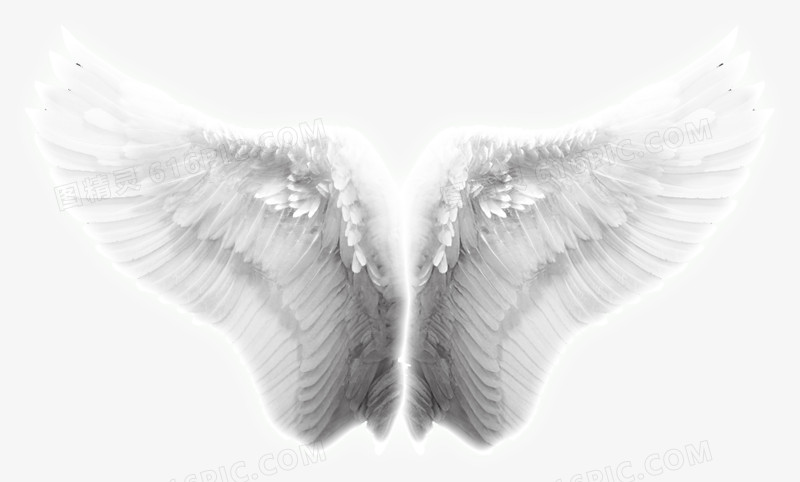 翅膀，天使的翅膀，淘宝素材，翅膀特效