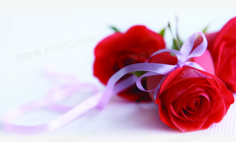 情人节红色玫瑰花