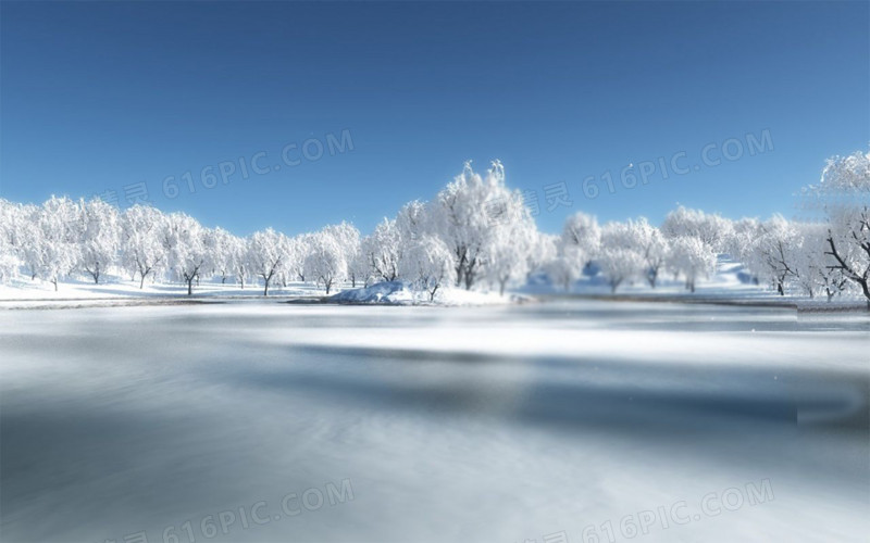 高清摄影冬天的风景树木