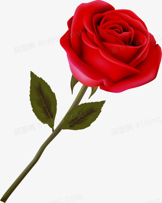一朵红玫瑰图片免费下载_png素材_编号z62ig70q1_图