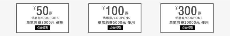 简约黑白欧美风优惠券