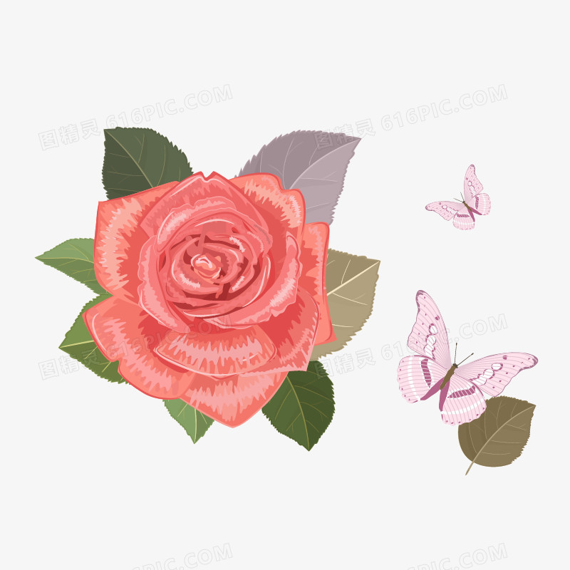 手绘红色玫瑰花和蝴蝶