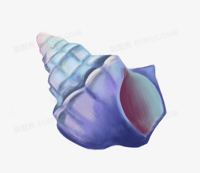 手绘卡通海洋生物海螺免抠元素