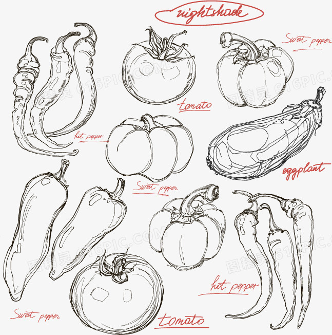 手绘蔬菜图案
