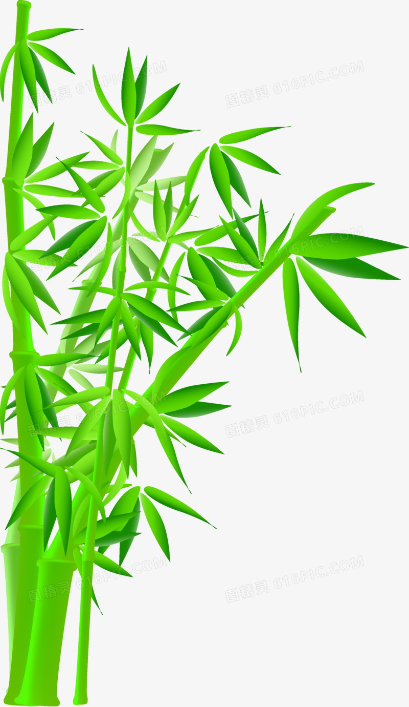 本设计作品为绿色竹子,格式为png,尺寸为2244x3869,下载后直接使用