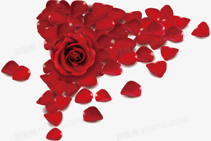 红色玫瑰花瓣玫瑰花海素材
