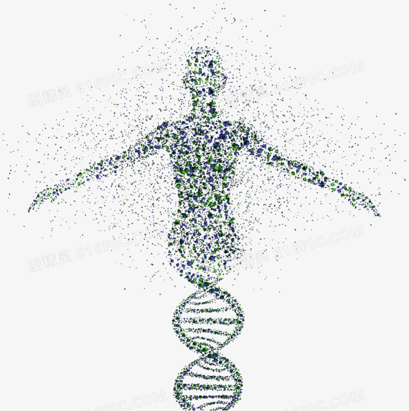 关键词:dna遗传基因图精灵为您提供dna人体遗传图片免费下载,本设计