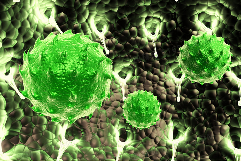 绿色带刺细胞体
