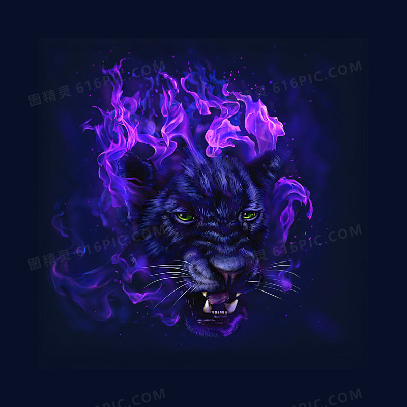 为虎头,格式为png,尺寸为1000x1000,下载后直接使用,下载虎头图片素材