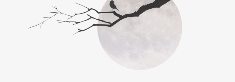 唯美月亮下树枝小鸟剪影