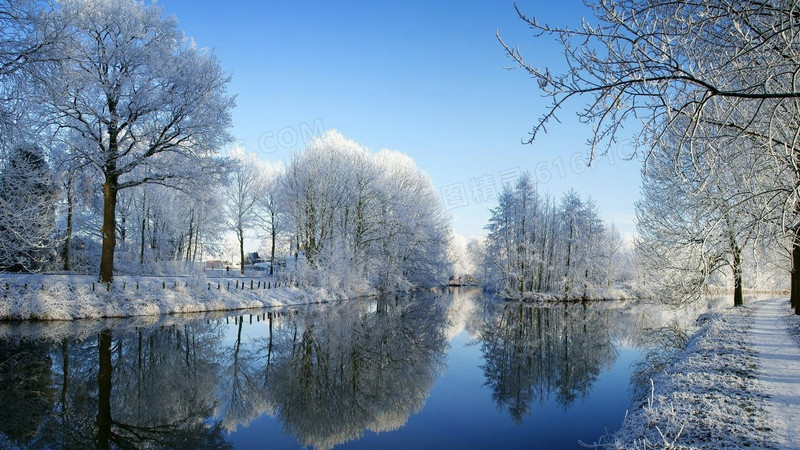 唯美森林河流雪景