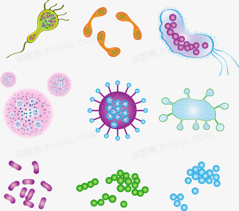 矢量手绘细菌图片免费下载_png素材_编号158i0d8y1_图精灵