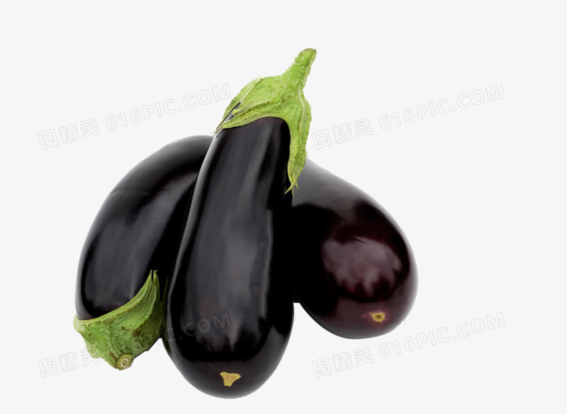 蔬菜之紫色茄子