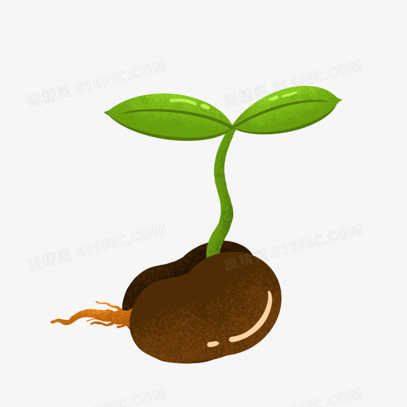 生长豆苗春芽嫩芽发芽植物免抠元素手绘图精灵为您提供手绘卡通豆芽
