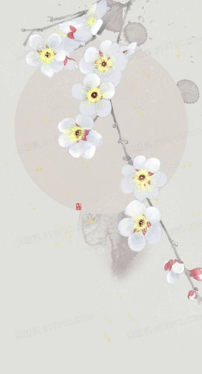 手绘白色小花插画
