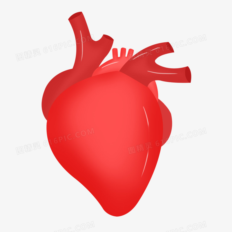 卡通手绘心脏身体器官素材