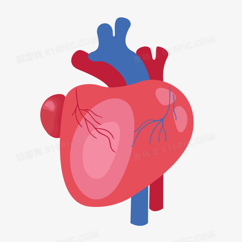 手绘身体器官心脏素材