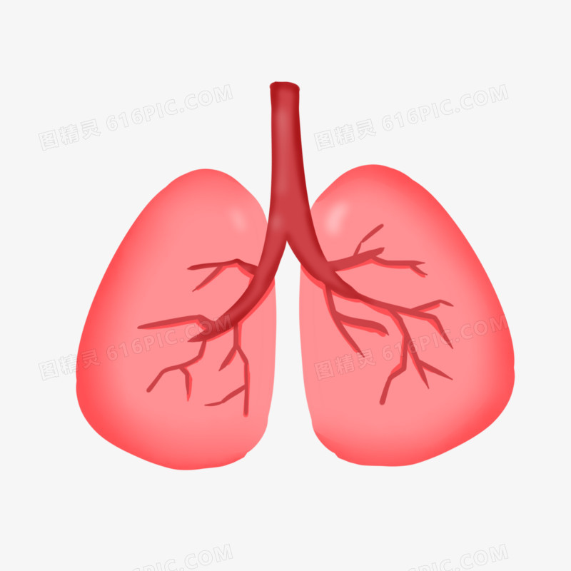 卡通手绘创意肺部元素