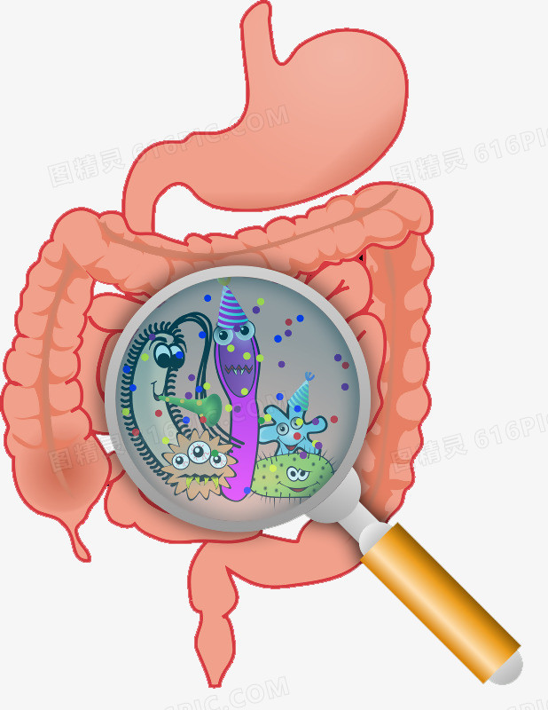 卡通肠胃里的细菌