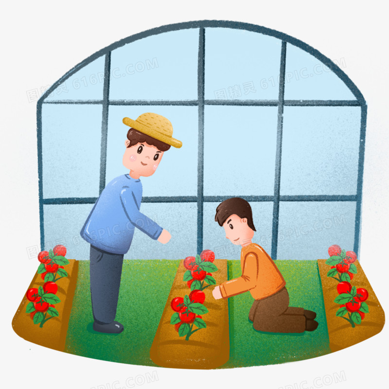 卡通手绘在温室内摘西红柿元素