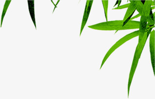 绿色清新竹叶风光端午装饰