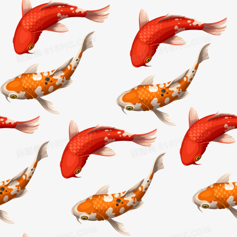 红色鲤鱼装饰插画素材矢量