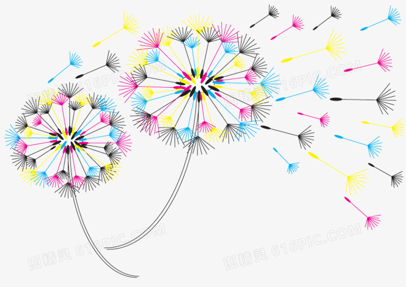 手绘炫彩蒲公英图片免费下载_png素材_编号vgpip3g8v_图精灵