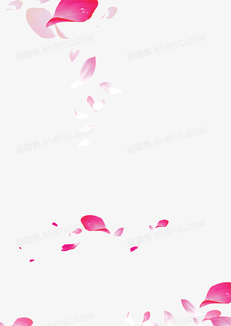 粉色花瓣