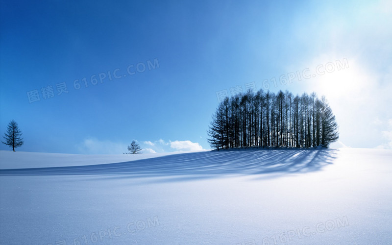 蓝天白云雪地树林