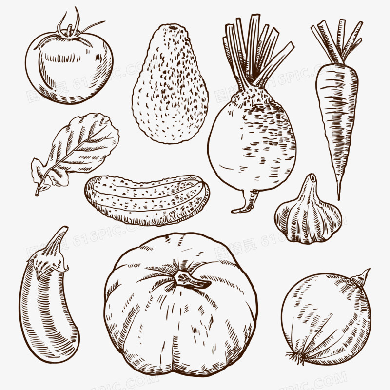 一组手绘线描蔬菜水果免抠装饰元素