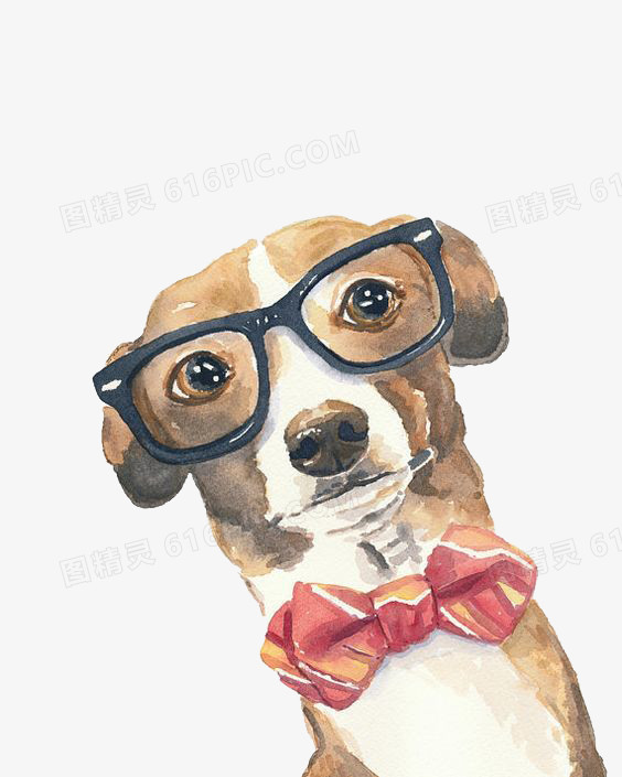 手绘插画动物歪头狗