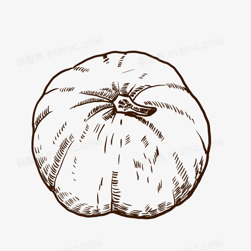 手绘线描南瓜免抠装饰元素