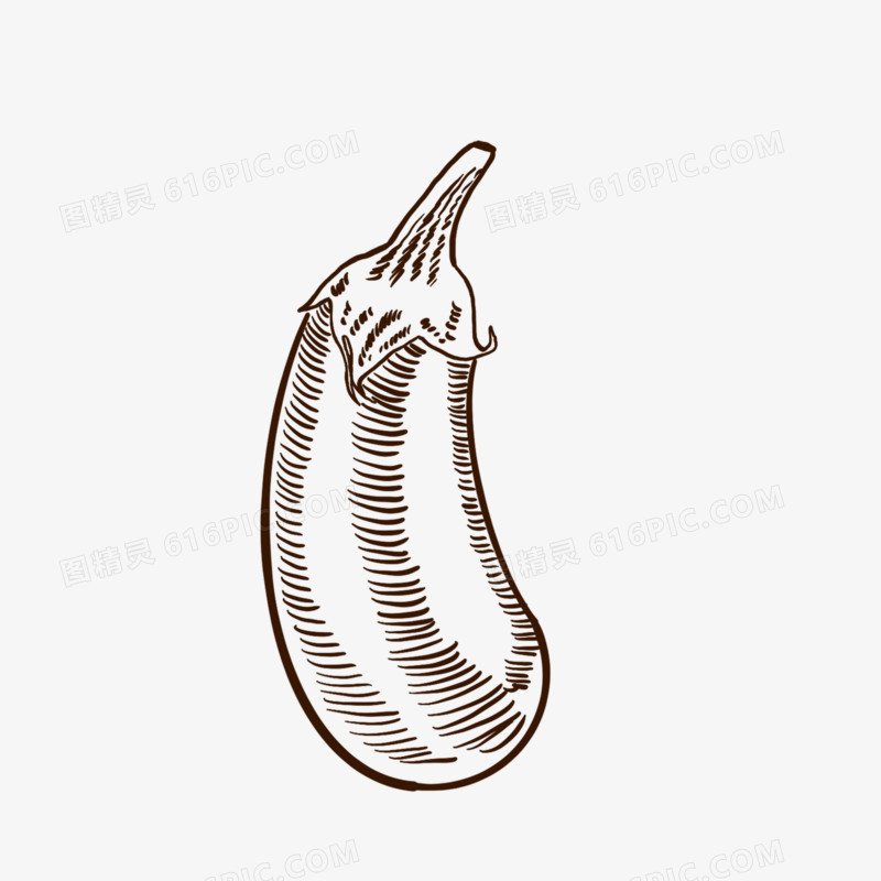 手绘线描茄子免抠装饰元素