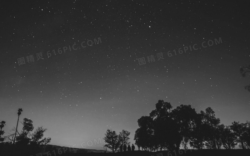 夜空下的树林海报背景