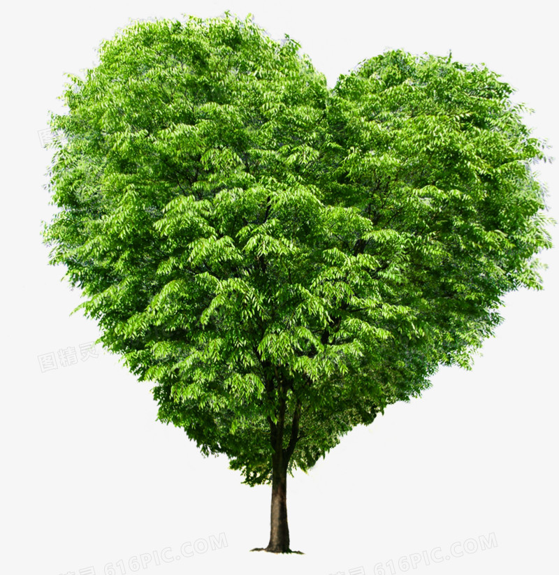 绿色清新爱心小树