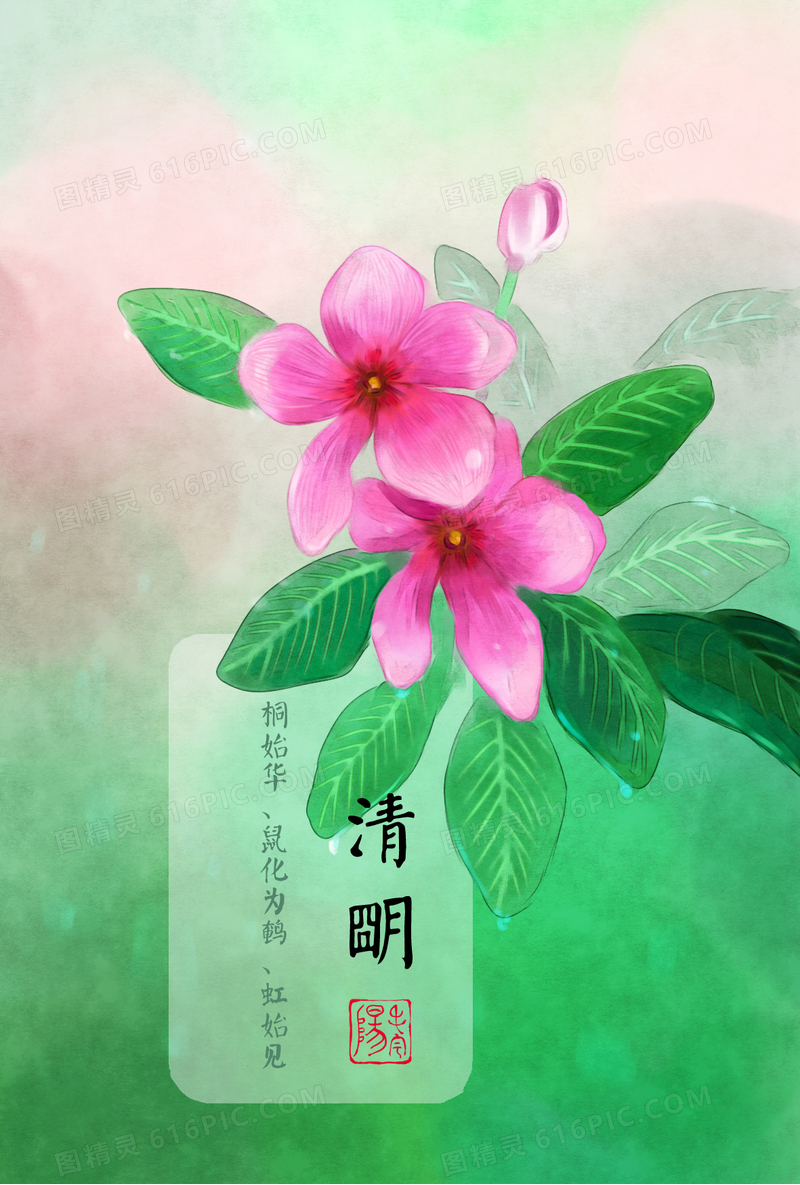 粉花绿叶节气清明