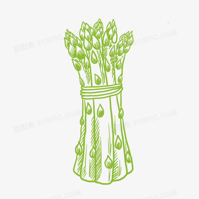 手绘线描蔬菜芦笋简笔画装饰素材