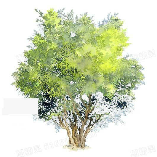 树木素材树木背景图片 水粉树木