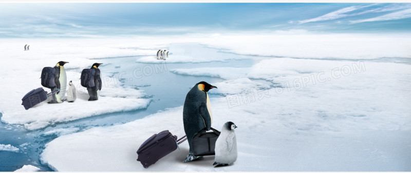 南极企鹅搬家