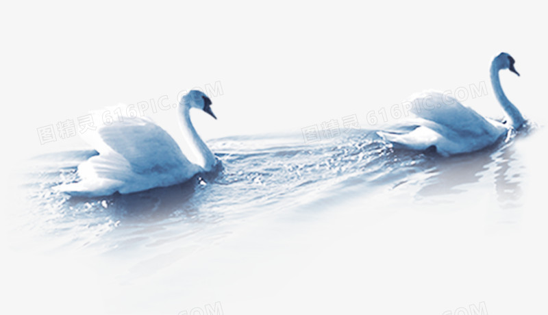 关键词:天鹅湖面水纹图精灵为您提供天鹅免费下载,本设计作品为天鹅