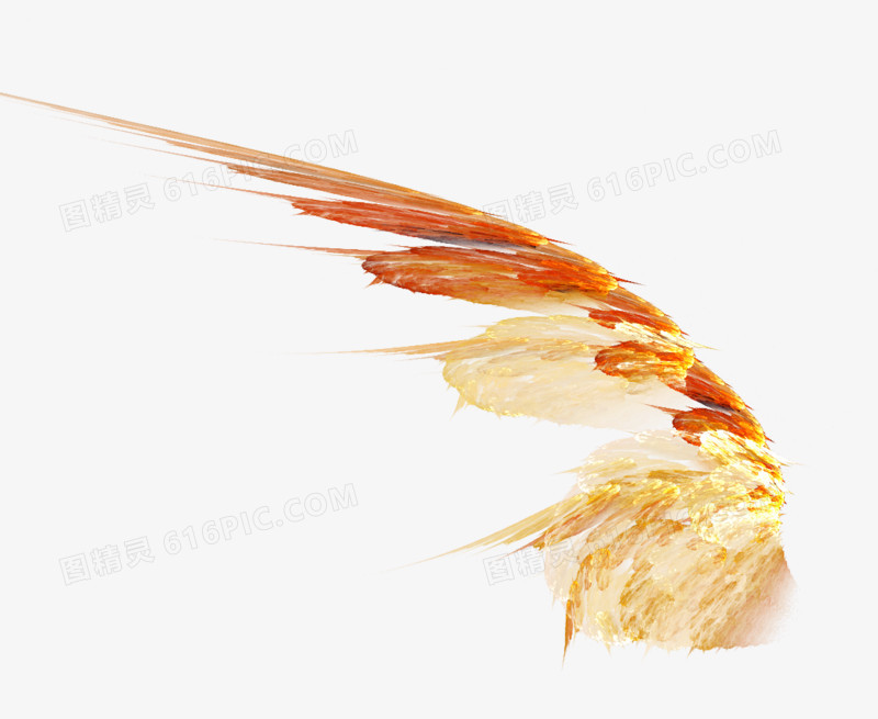 翅膀素材羽毛素描图片   炫酷翅膀
